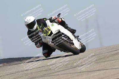 media/Mar-24-2025-2WTD (Mon) [[55b4b08488]]/A Group/11am (Outside Grapevine)/